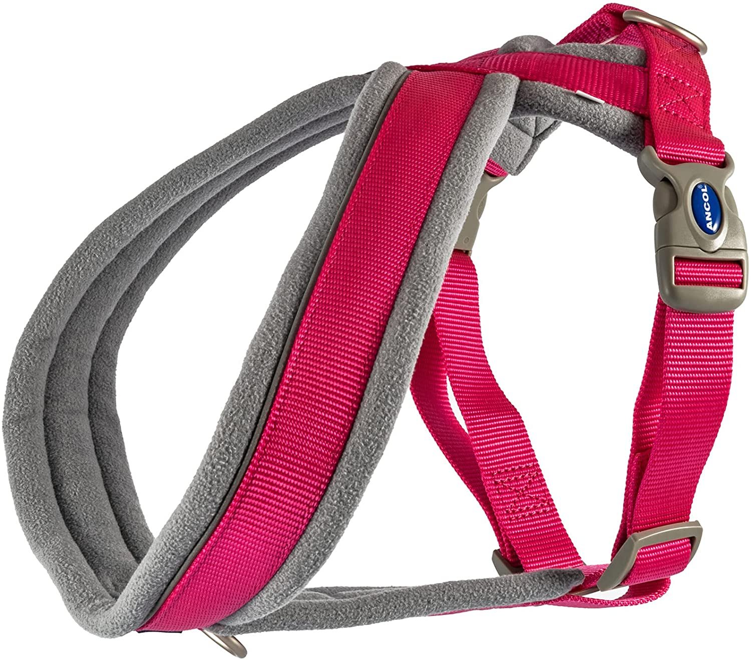 Ancol padded 2024 dog harness